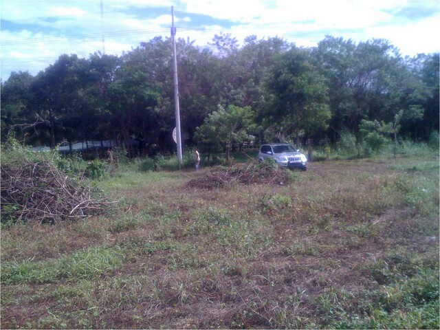 Fotos/cod450505 