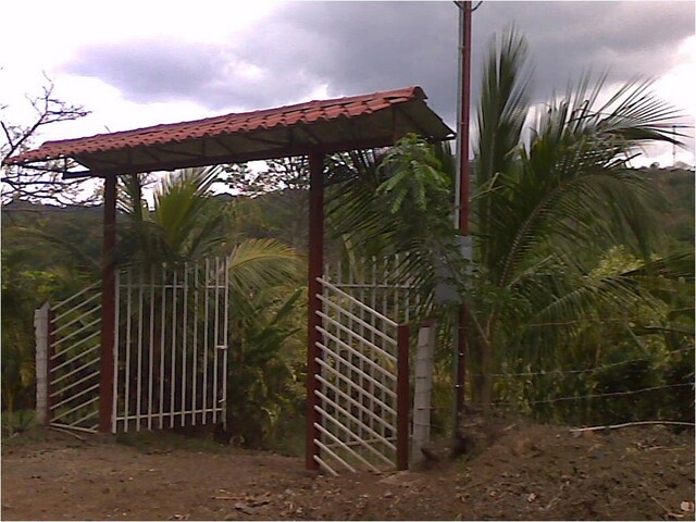 Fotos/cod822205 