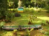 10969manzanillopuertolimon2.JPG