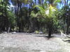 Venta