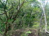13257bahiasalinas13.JPG