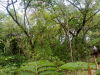 13257bahiasalinas8.JPG