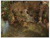 13609fincaensarapiqui5.JPG