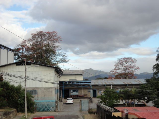 INDUSTRIAL CON 6 BODEGAS INTERNAS EN UN PRIMER PISO Y 6 OFICINAS 