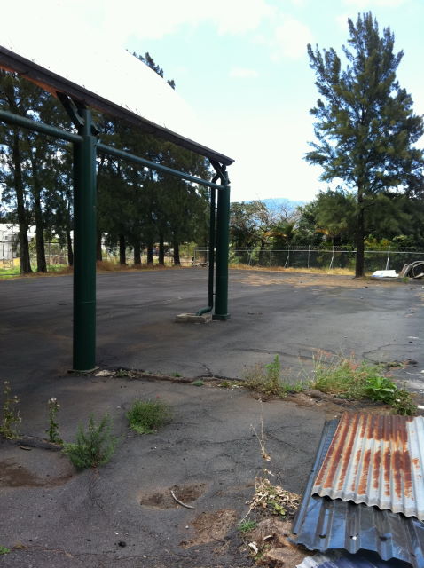 13842bodega5.JPG