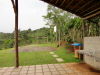 13858fincaenalajuela7.JPG