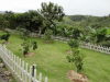13858fincaenalajuela8.JPG