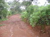13893fincas3.JPG