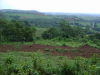 13893fincas4.JPG