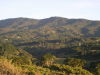 13931foto2.JPG
