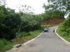 13952parrita.JPG