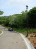 13952parrita3.JPG