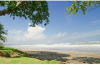 13952parrita4.JPG