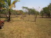 13955finca3.JPG