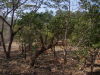 13955finca5.JPG