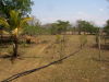 13955finca8.JPG
