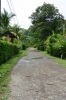 14014puertoviejolimon.JPG
