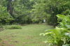 14014puertoviejolimon3.JPG