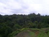 14014puertoviejolimon5.JPG