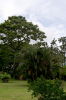 14065PROPIEDAD2.JPG