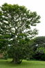 14065PROPIEDAD3.JPG