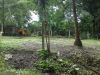 14072CASACONLOTEENNICOYA7.JPG