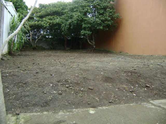 14207loteenheredia2.JPG
