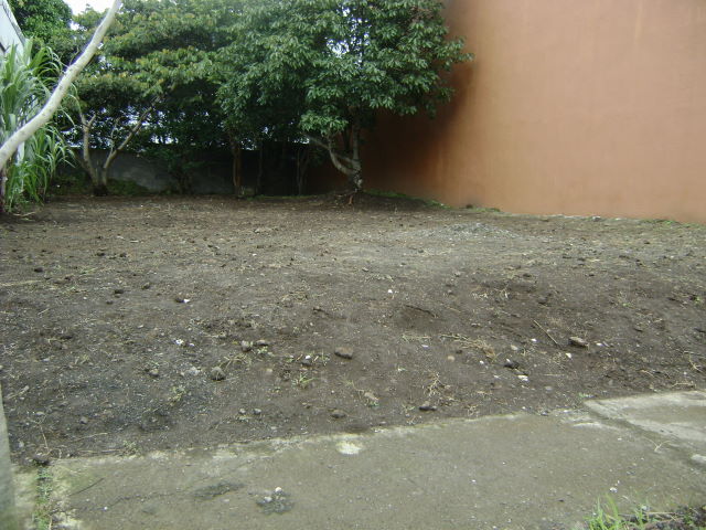 14207loteenheredia3.JPG