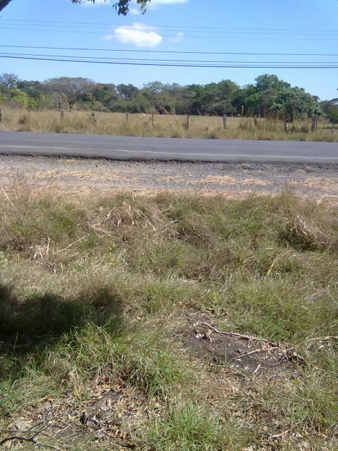 14242lote.JPG