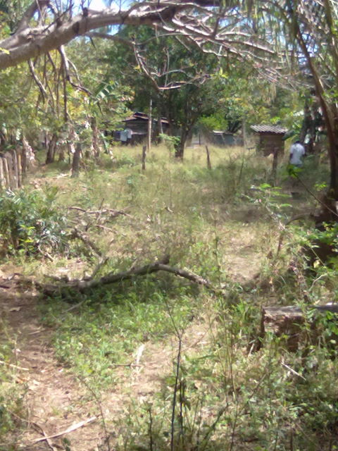 14242lote13.JPG