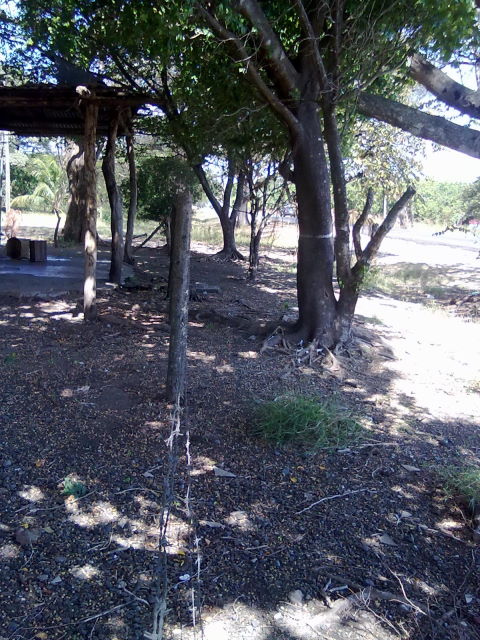 14242lote3.JPG