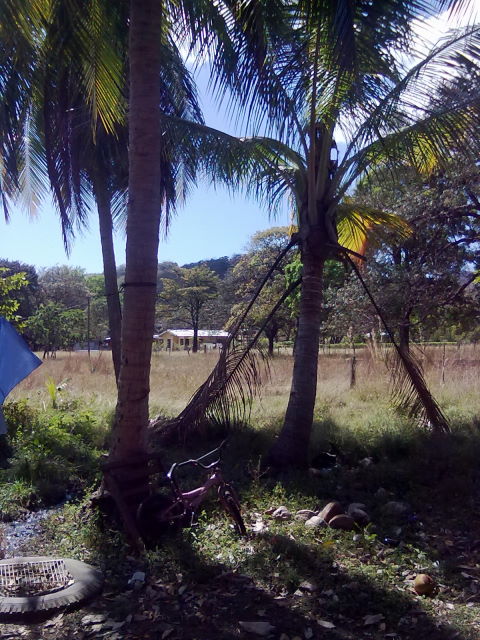 14242lote5.JPG