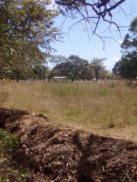 14242lote6.JPG
