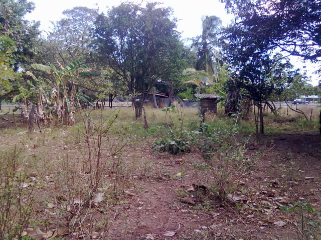 14242lote9.JPG