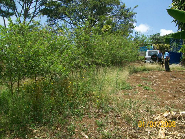 14243lote3.JPG