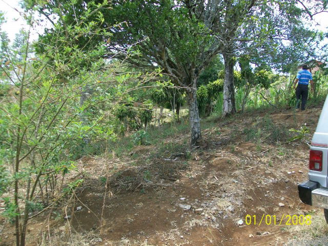 14243lote9.JPG