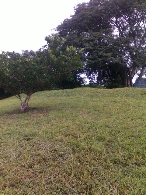 14249lote2.JPG