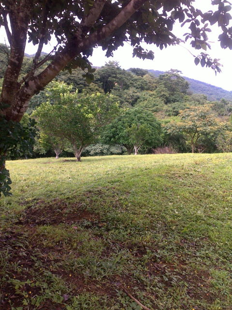 14249lote5.JPG