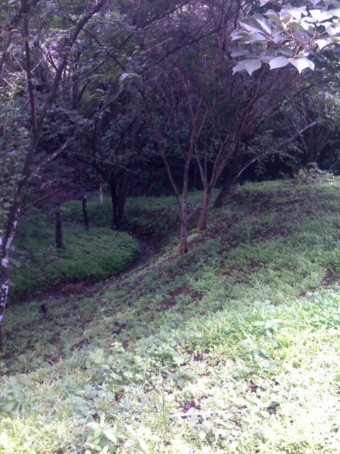 14249lote8.JPG
