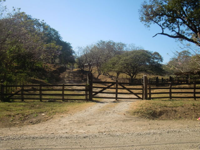 14252finca.JPG