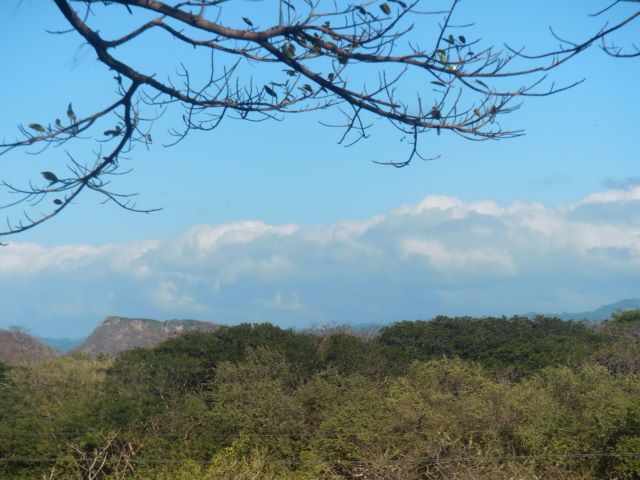 14252finca2.JPG