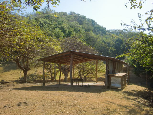 14252finca3.JPG