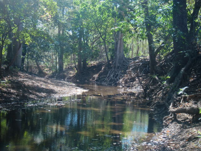 14252finca5.JPG