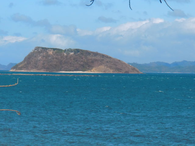 14252finca6.JPG