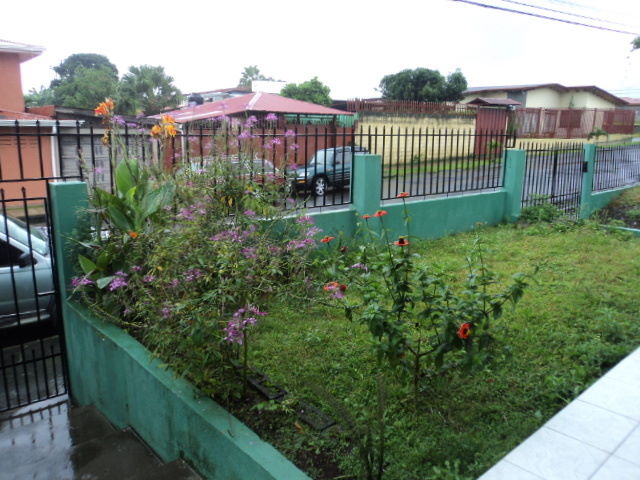 Vendo casa en Palmares