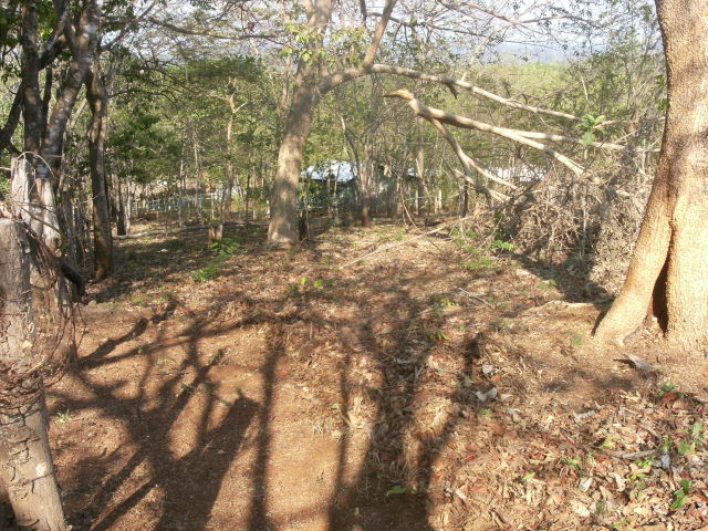 14259finca3.JPG