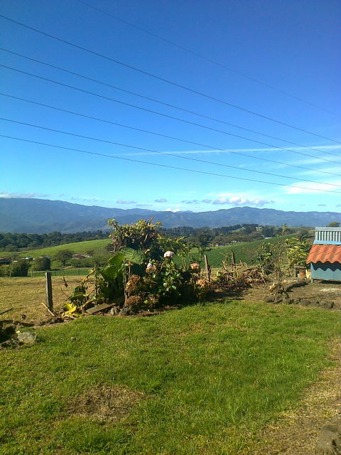 14274casa6.JPG