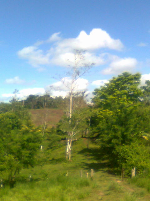 Finca en Liberia  La Cruz