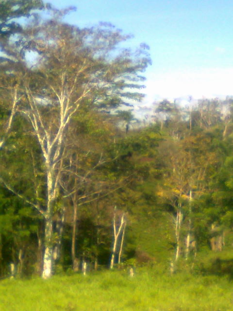 14294finca1.JPG