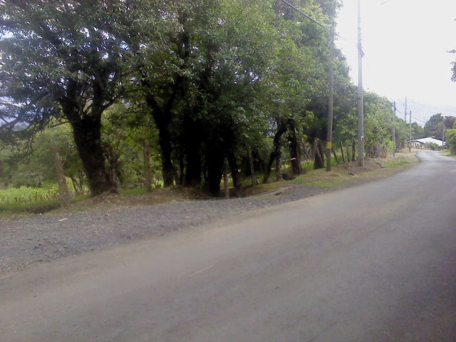 Finca en Santa Barbara de Heredia con vista al Valle central